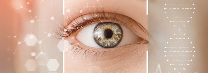 A close up photo of a clear, well hydrated eye